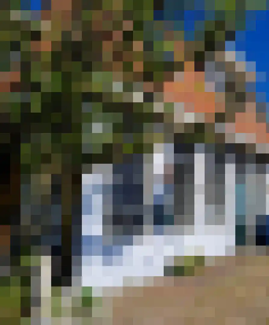 De Kat 21 Westhem thumbnail 17