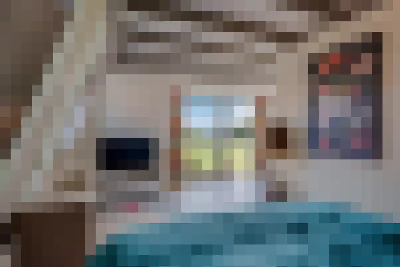 De Kat 21 Westhem thumbnail 21