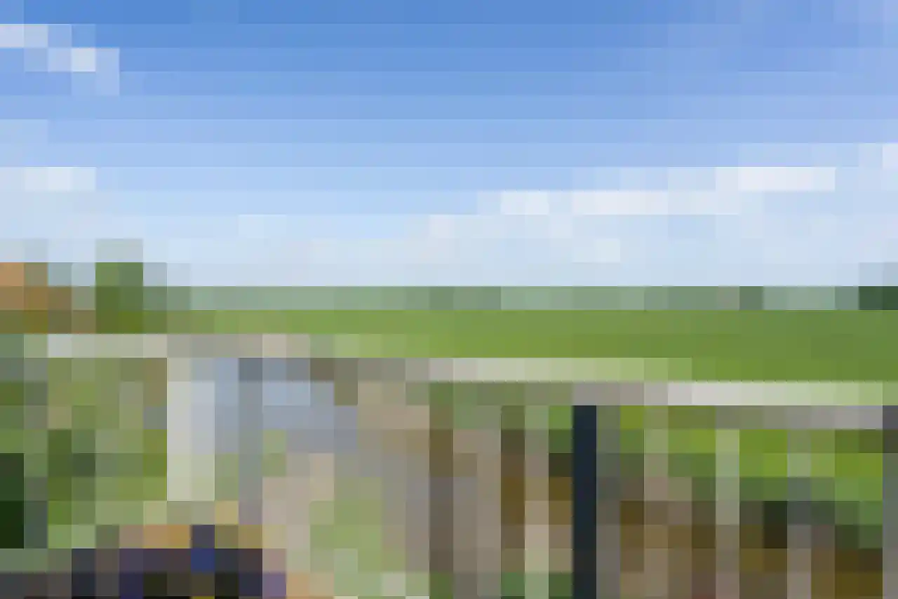De Kat 21 Westhem thumbnail 25