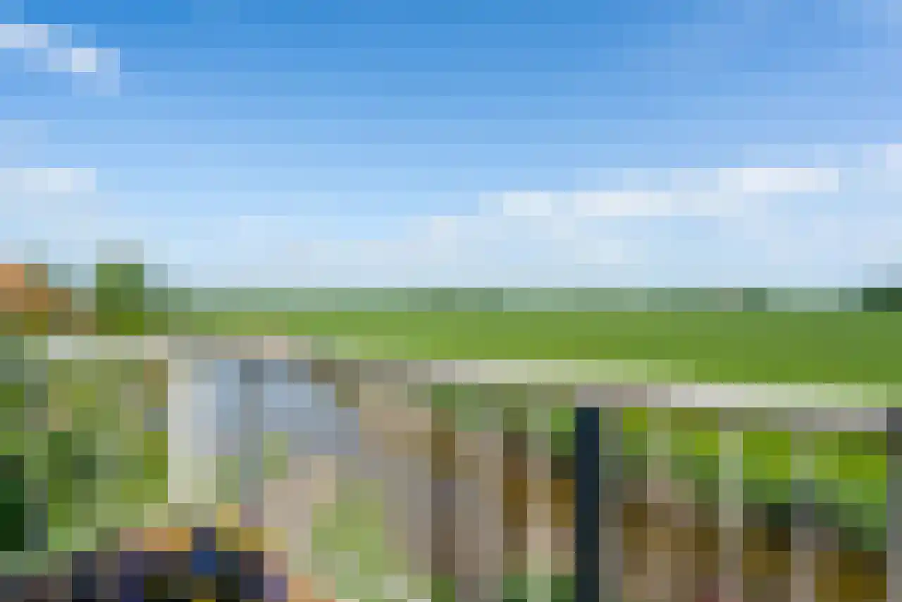 De Kat 21 Westhem thumbnail 25