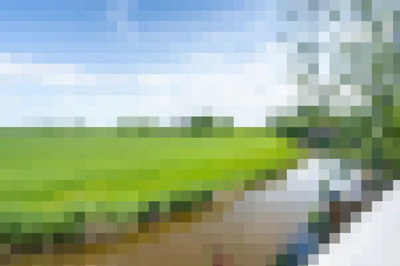 De Kat 21 Westhem thumbnail 26