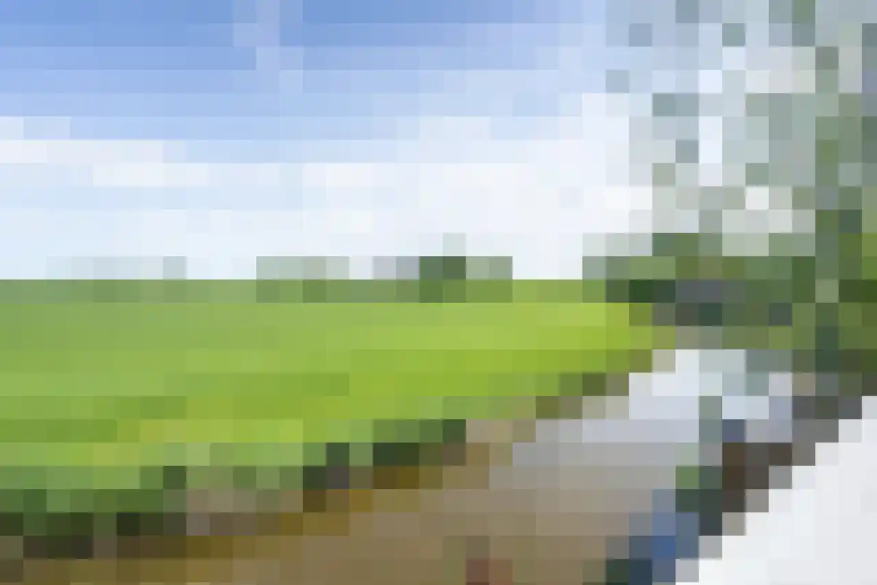 De Kat 21 Westhem thumbnail 26