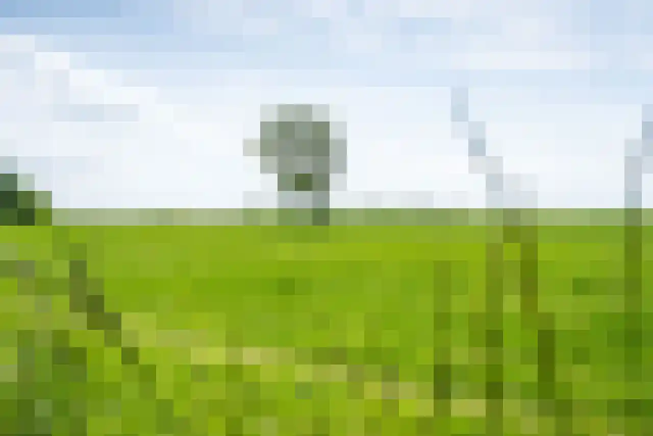 De Kat 21 Westhem thumbnail 31