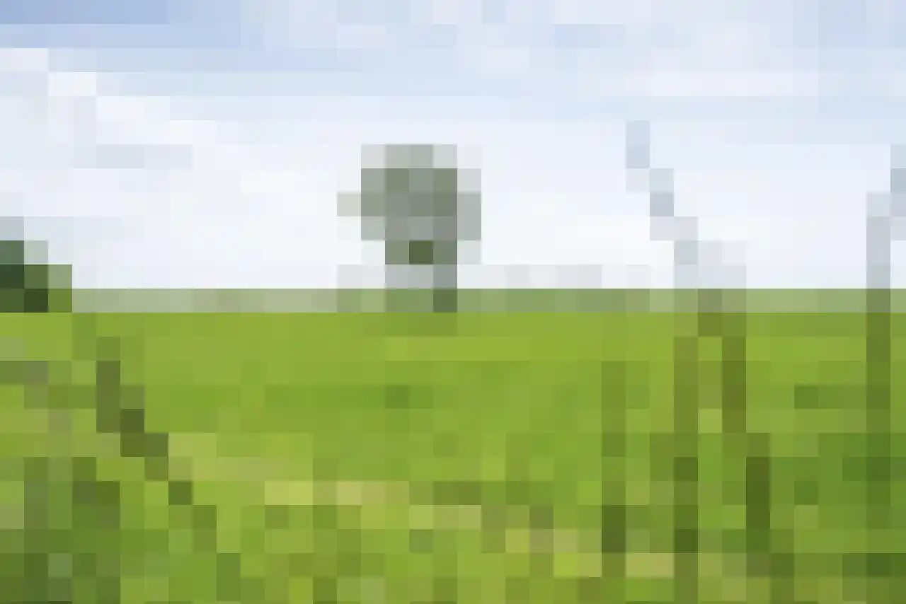 De Kat 21 Westhem thumbnail 31