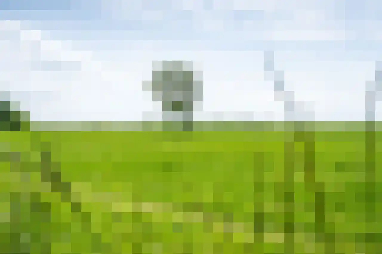 De Kat 21 Westhem thumbnail 31