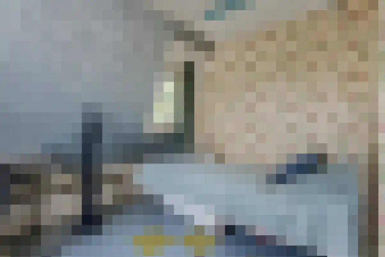 De Kat 21 Westhem thumbnail 32