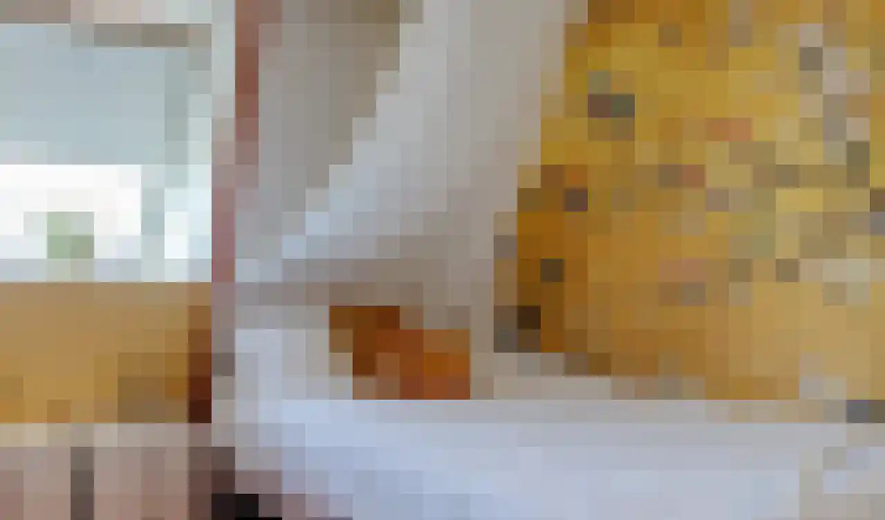 De Kat 21 Westhem thumbnail 35