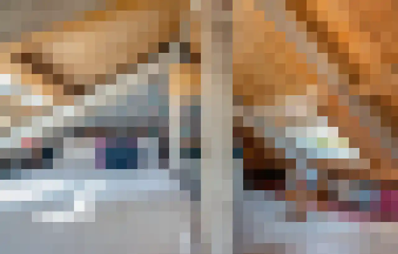 De Kat 21 Westhem thumbnail 37