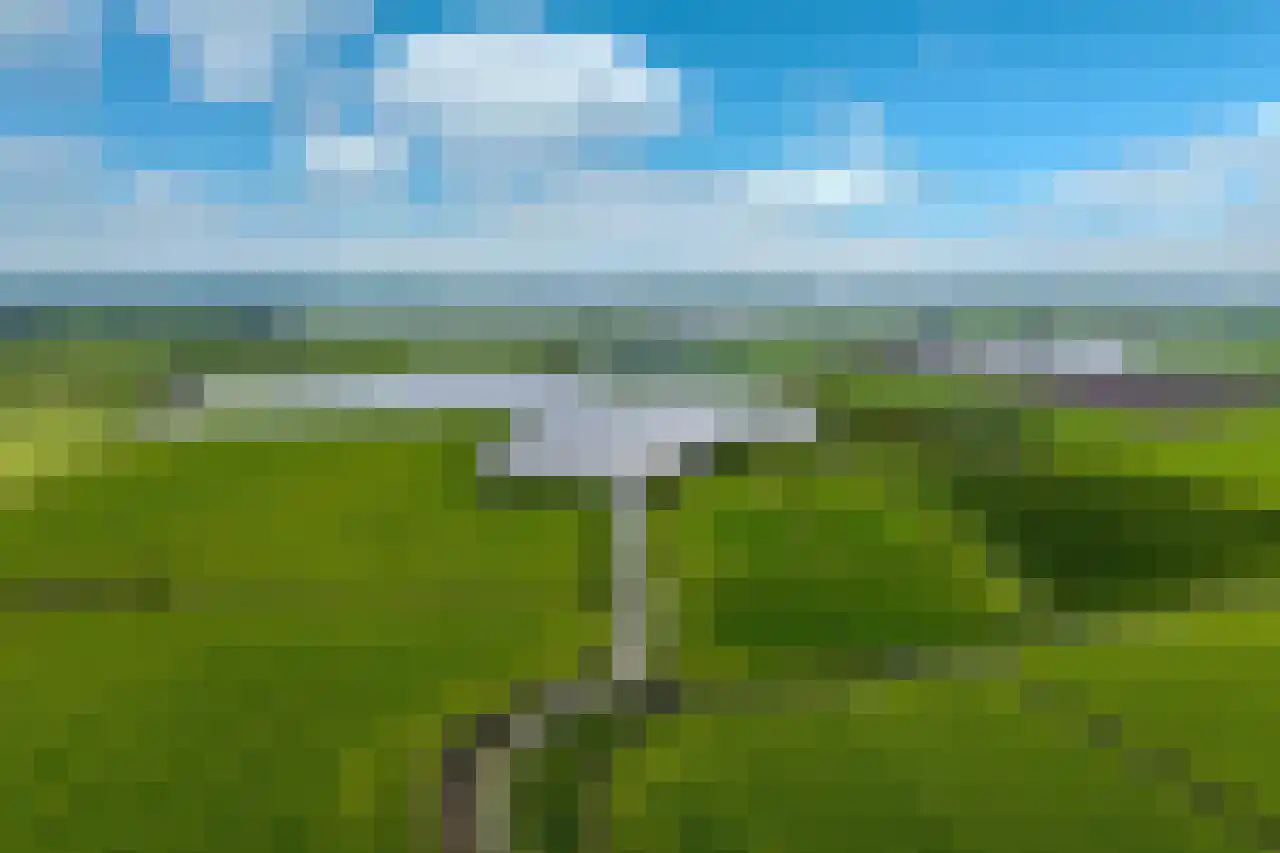 De Kat 21 Westhem thumbnail 39