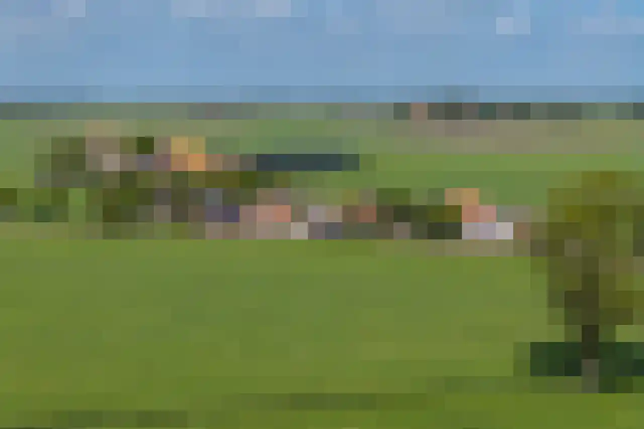 De Kat 21 Westhem thumbnail 40