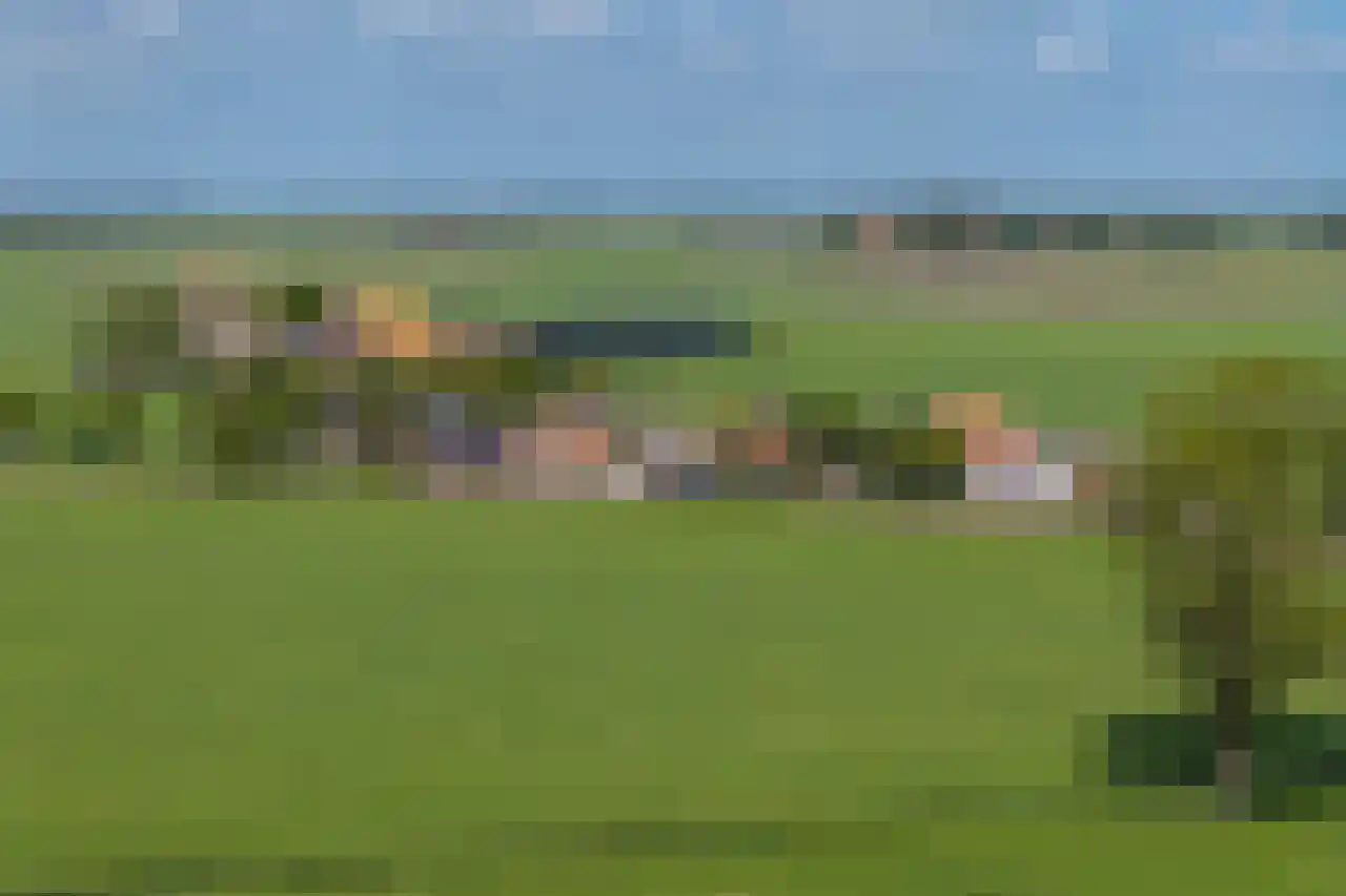 De Kat 21 Westhem thumbnail 40