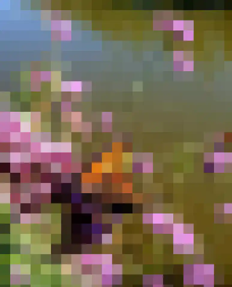 De Kat 21 Westhem thumbnail 43