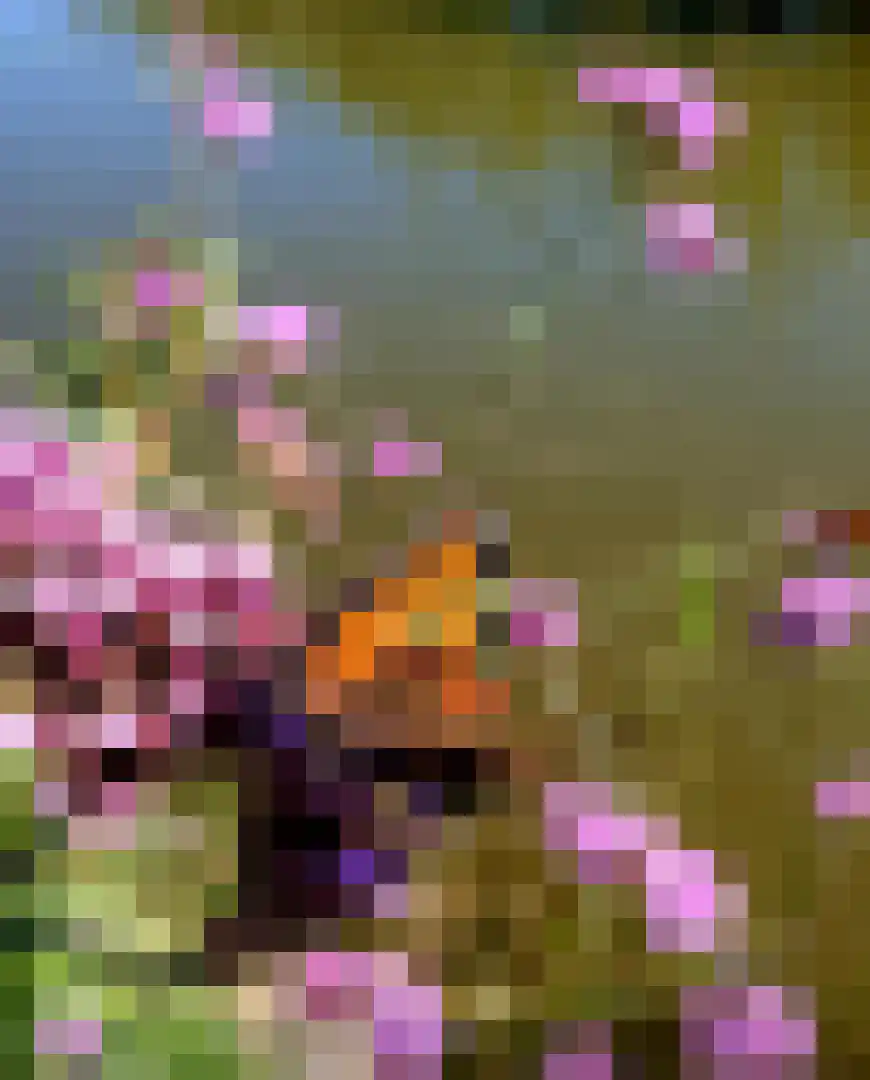 De Kat 21 Westhem thumbnail 44