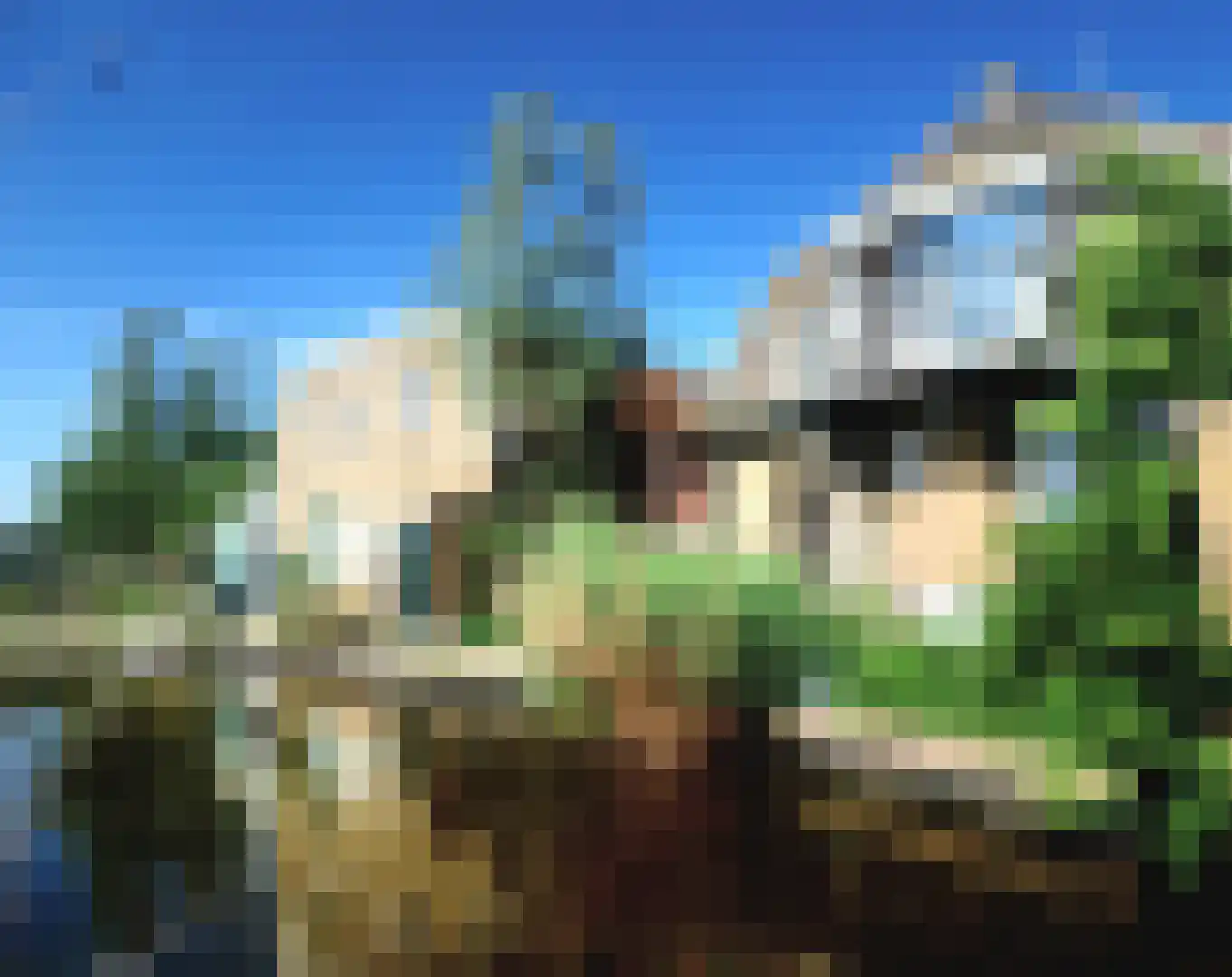 De Kat 21 Westhem thumbnail 45