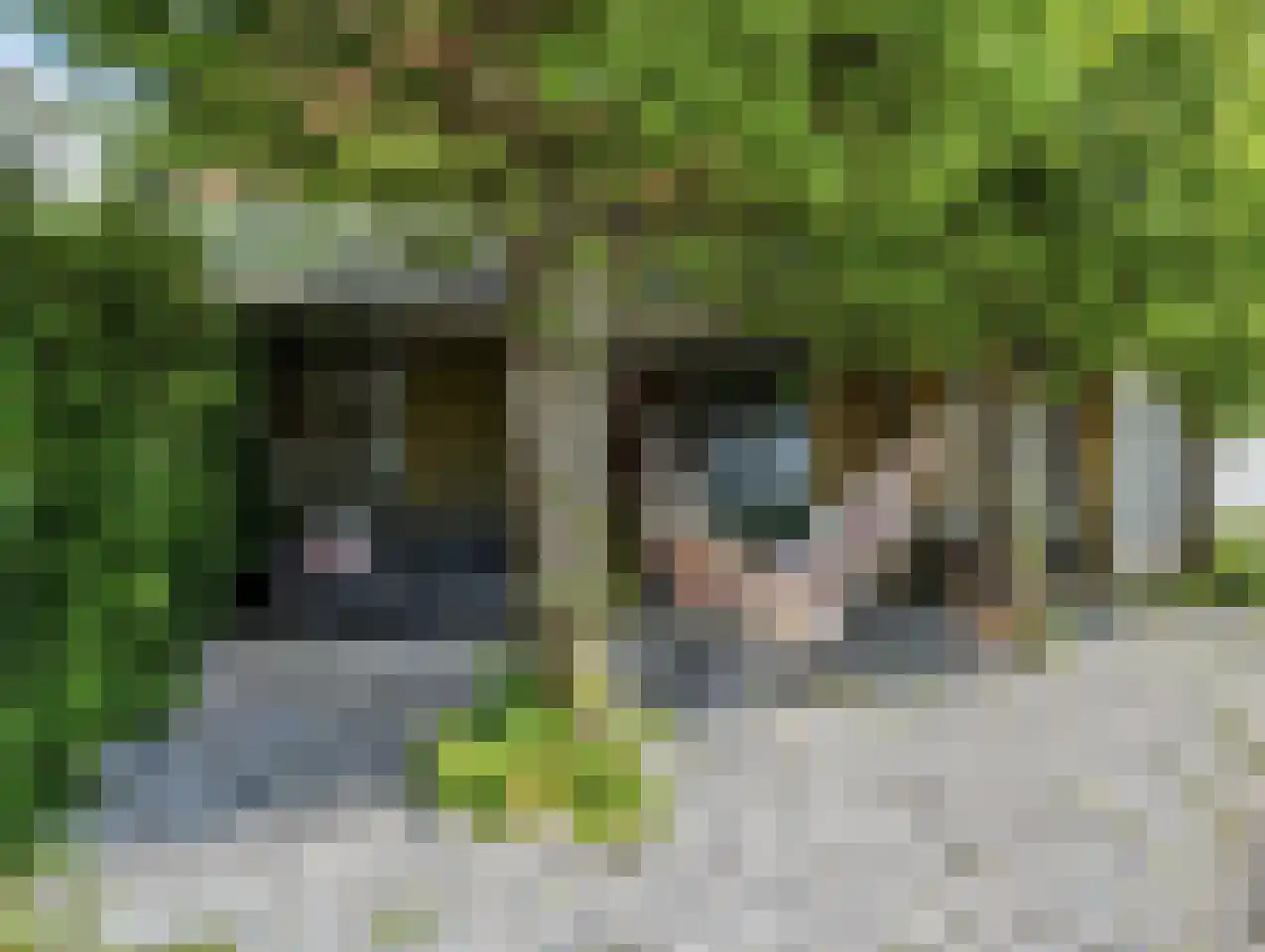 De Kat 21 Westhem thumbnail 45