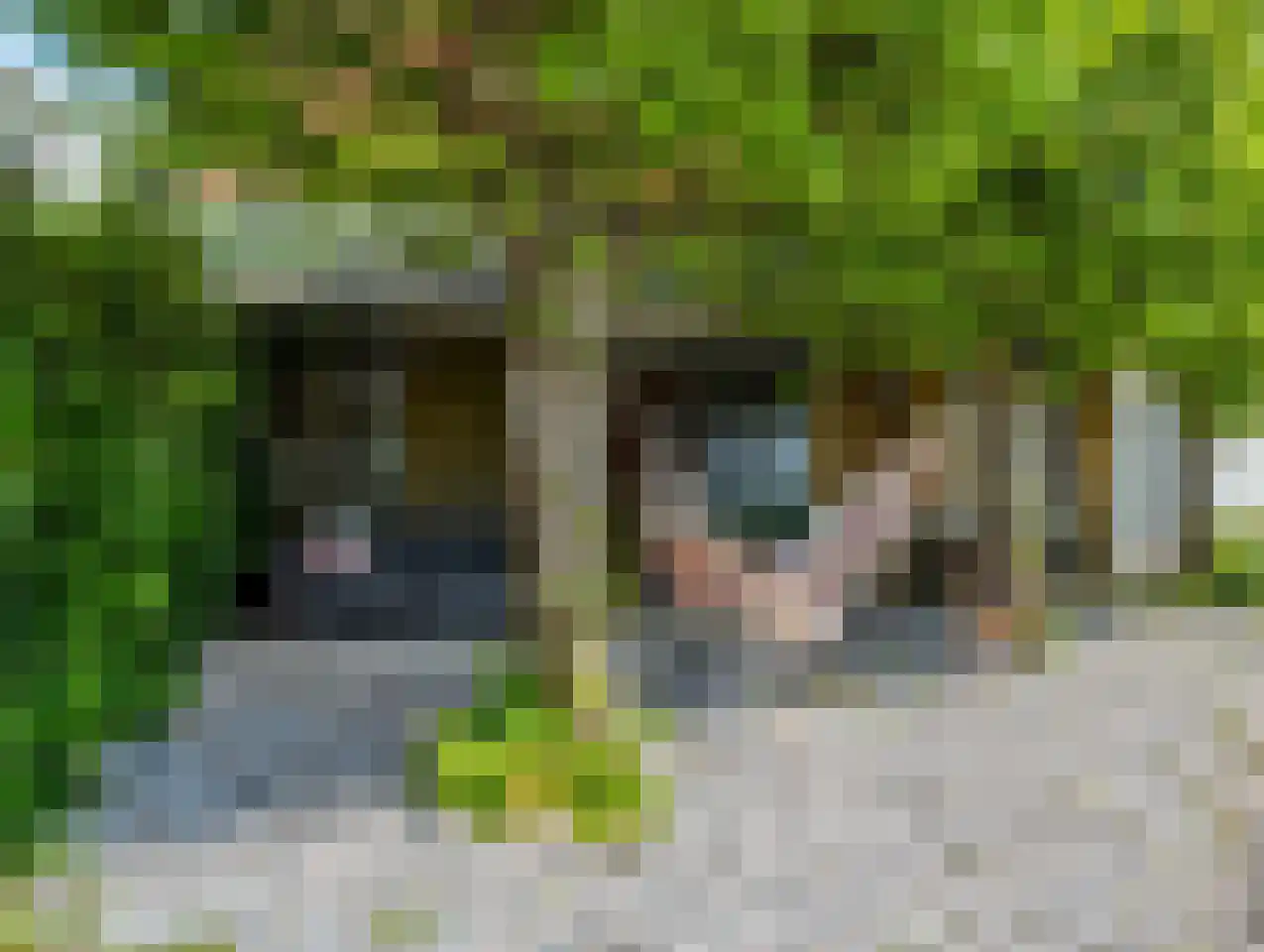 De Kat 21 Westhem thumbnail 46
