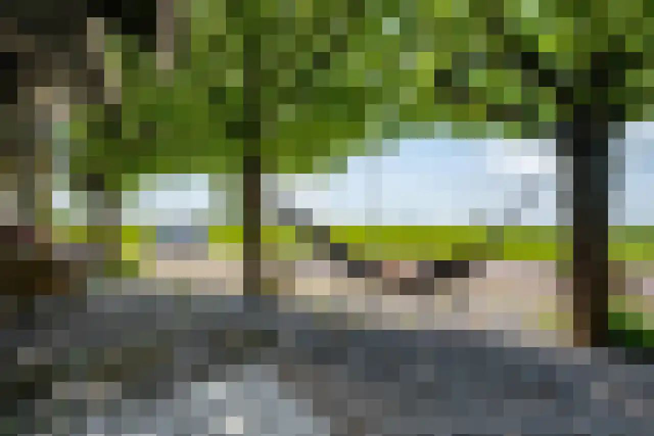 De Kat 21 Westhem thumbnail 47