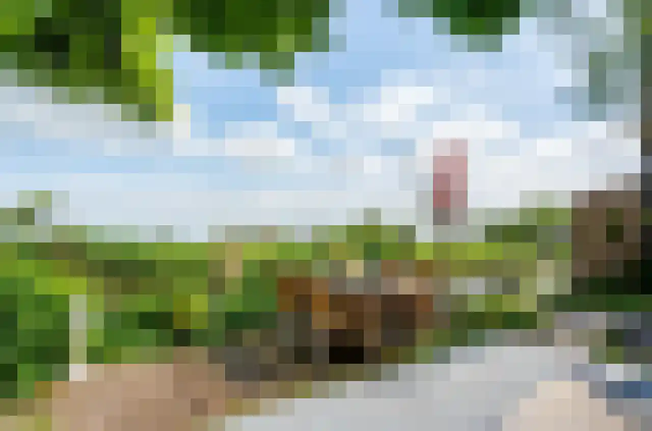 De Kat 21 Westhem thumbnail 5
