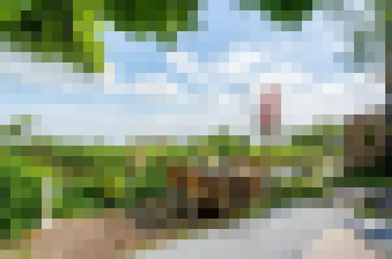 De Kat 21 Westhem thumbnail 5