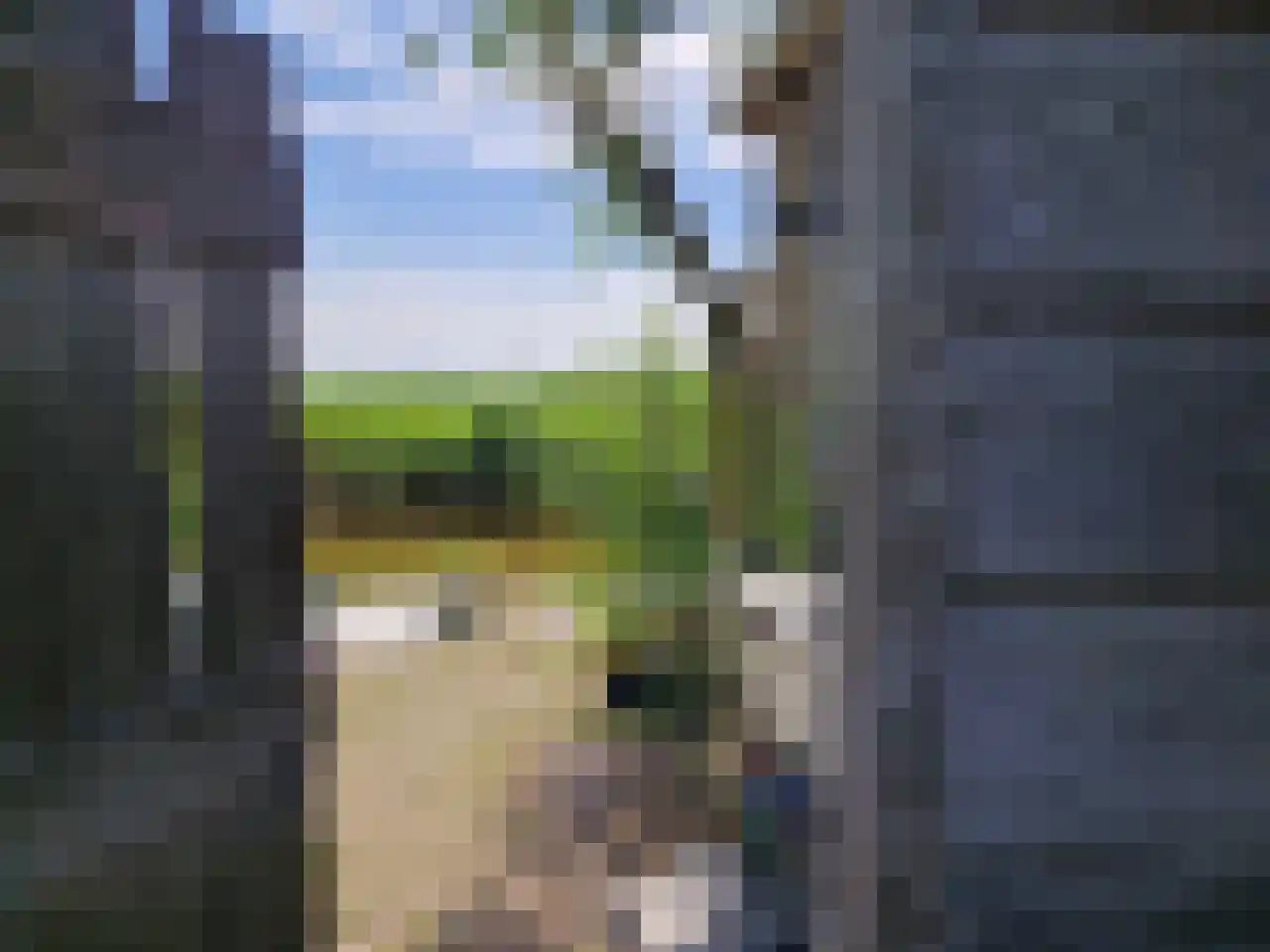 De Kat 21 Westhem thumbnail 6