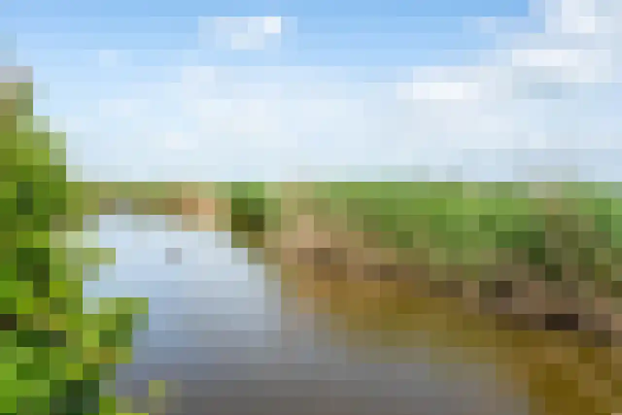De Kat 21 Westhem thumbnail 7