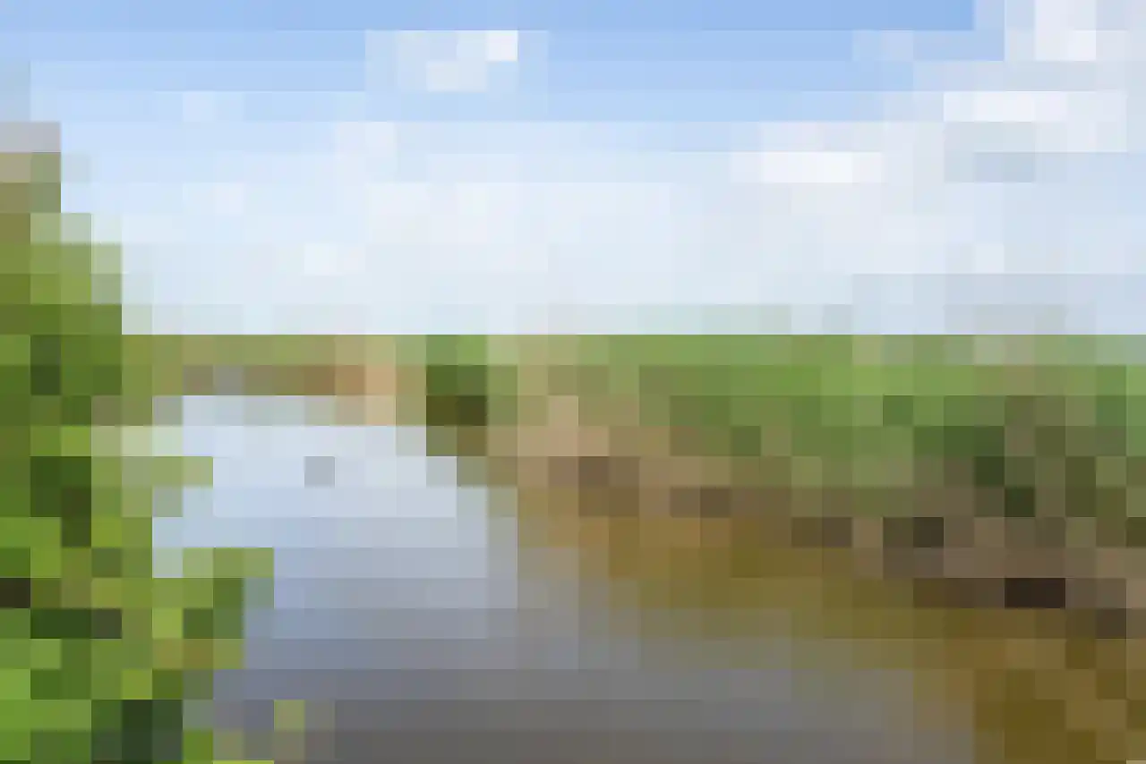 De Kat 21 Westhem thumbnail 7