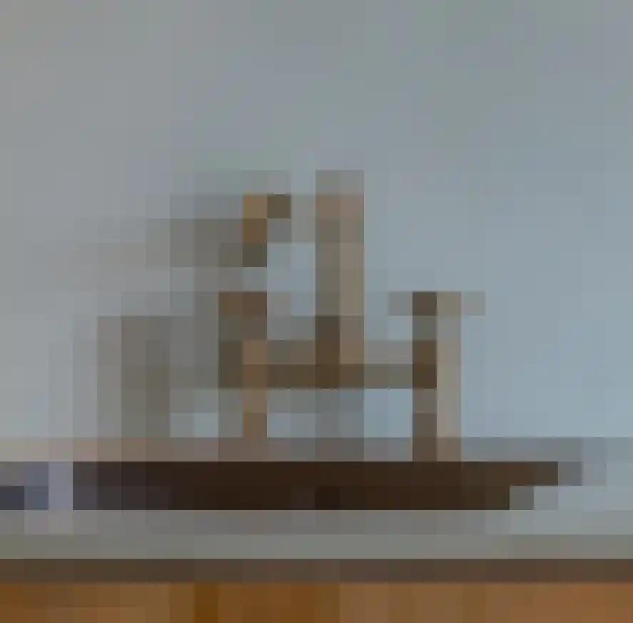 De Kat 21 Westhem thumbnail 9