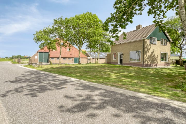 De Kat 28 in Westhem