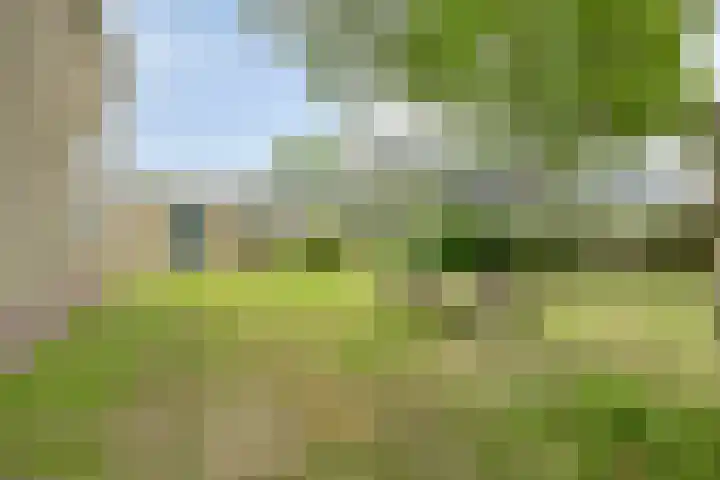 De Kat 28 Westhem thumbnail 30
