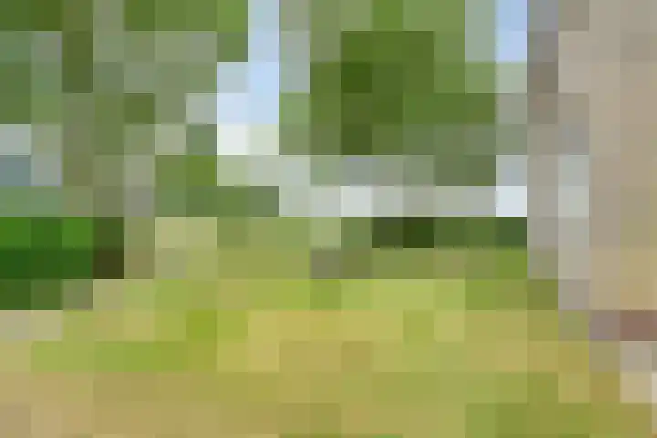 De Kat 28 Westhem thumbnail 31