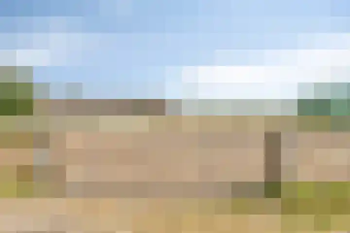 De Kat 28 Westhem thumbnail 34