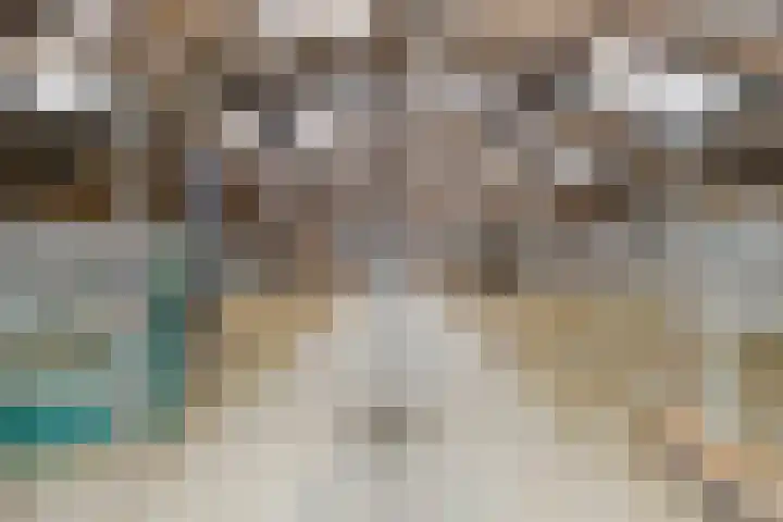 De Kat 28 Westhem thumbnail 35