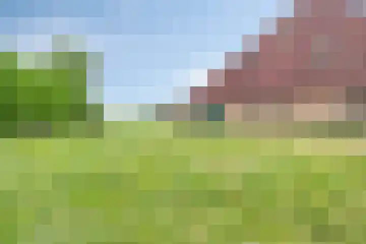 De Kat 28 Westhem thumbnail 38