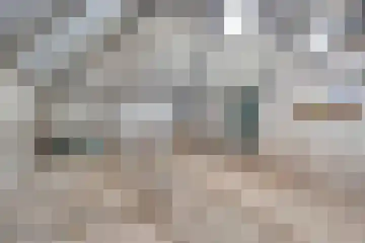 De Kat 28 Westhem thumbnail 39