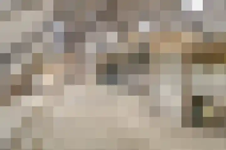 De Kat 28 Westhem thumbnail 42