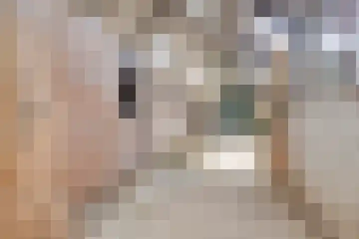 De Kat 28 Westhem thumbnail 43