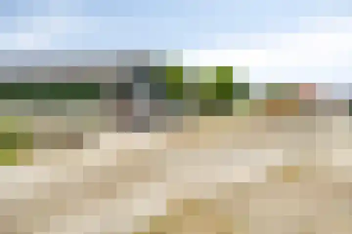 De Kat 28 Westhem thumbnail 47
