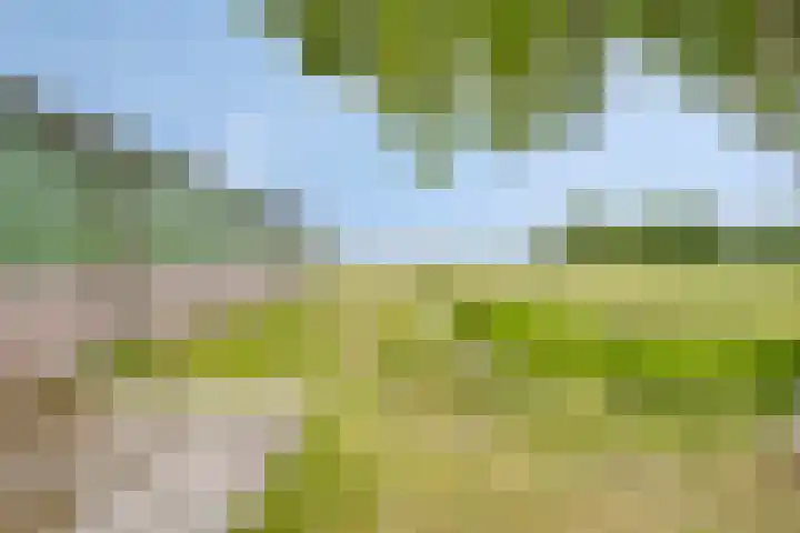 De Kat 28 Westhem thumbnail 54