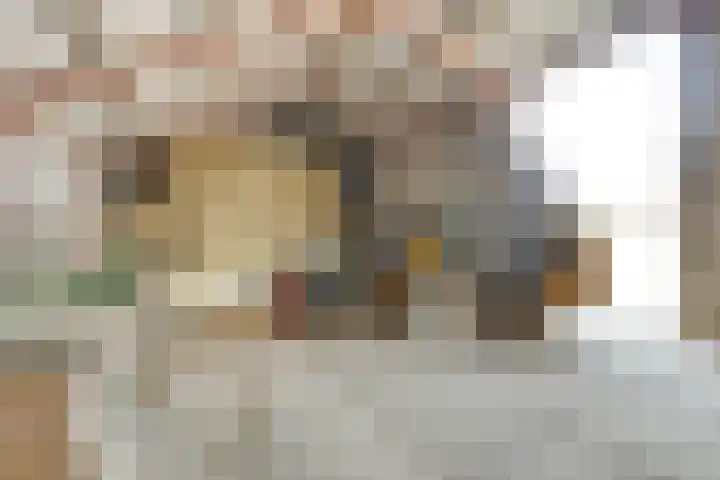 De Kat 28 Westhem thumbnail 59