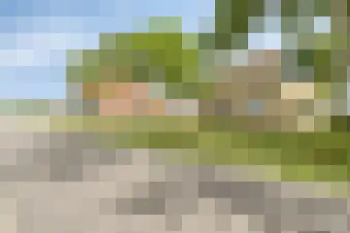 De Kat 28 Westhem thumbnail 70