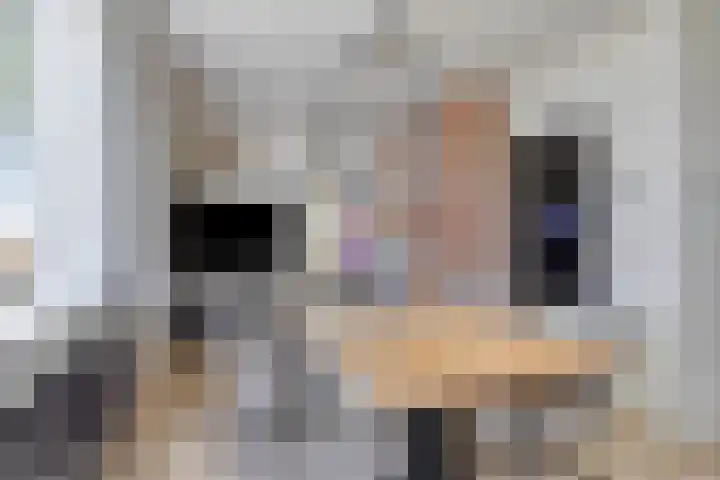De Kat 28 Westhem thumbnail 8