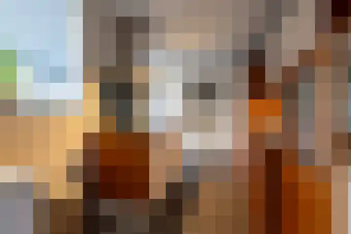 De Katstraat 2 Geleen thumbnail 11