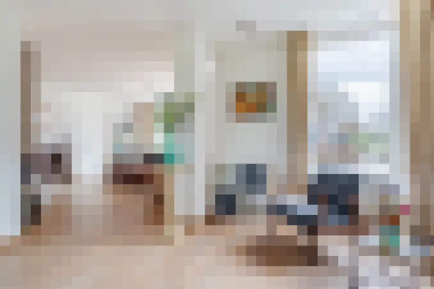 De Kattenberg 15 Bergeijk thumbnail 10