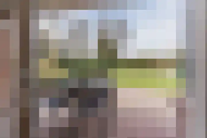 De Kattenberg 15 Bergeijk thumbnail 39