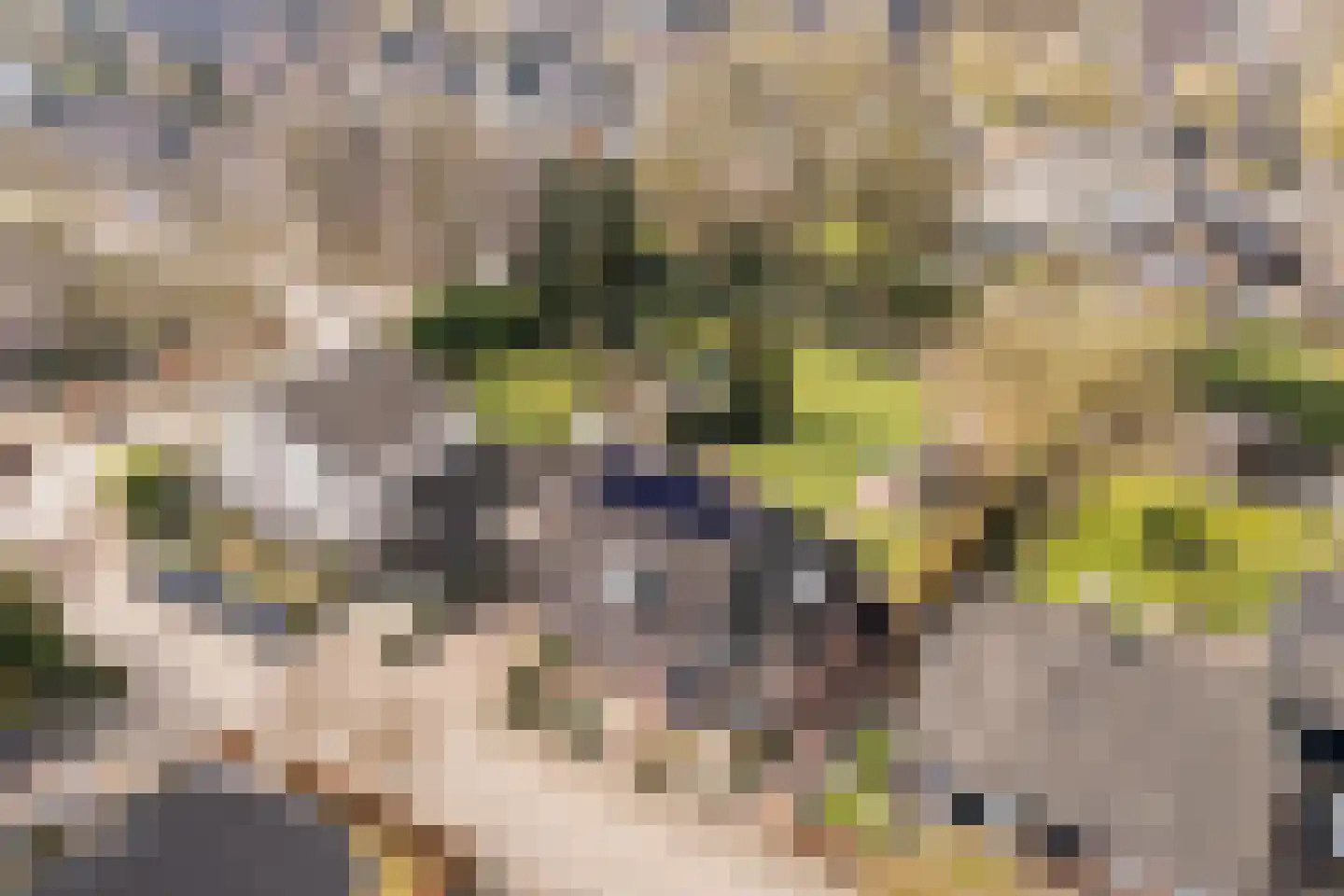 De Kattenberg 15 Bergeijk thumbnail 4