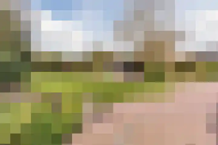 De Kattenberg 15 Bergeijk thumbnail 41