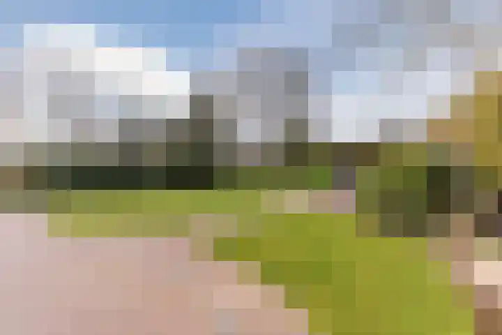 De Kattenberg 15 Bergeijk thumbnail 43
