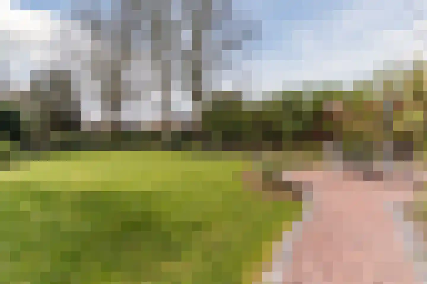 De Kattenberg 15 Bergeijk thumbnail 45