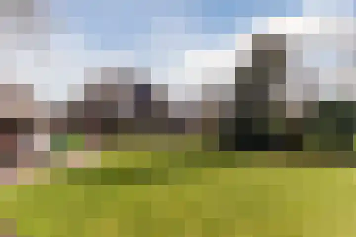 De Kattenberg 15 Bergeijk thumbnail 48