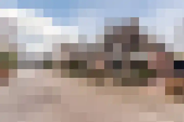 De Kattenberg 15 Bergeijk thumbnail 51
